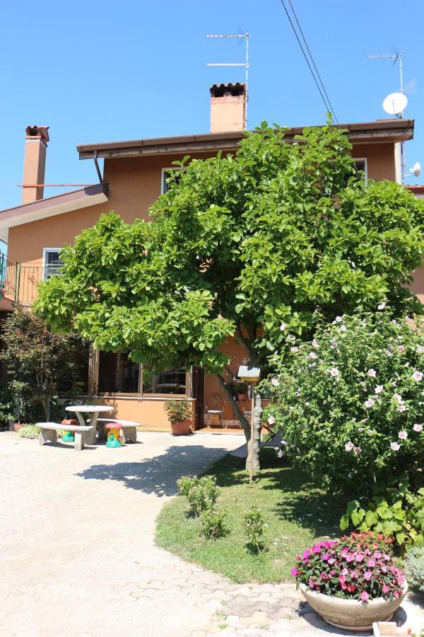 Casa Flora Daire Treppo Grande Dış mekan fotoğraf